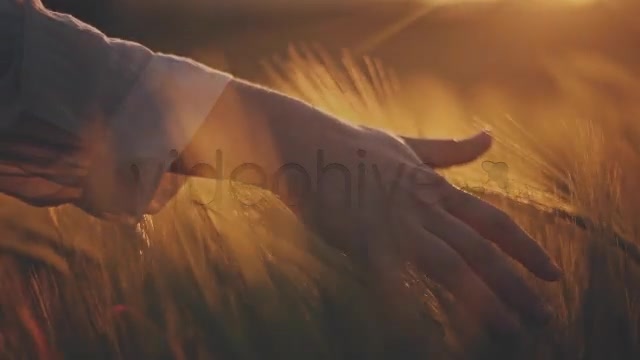 Hands on Ceral Field 8  Videohive 7730494 Stock Footage Image 3