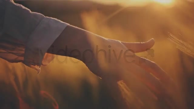 Hands on Ceral Field 8  Videohive 7730494 Stock Footage Image 4