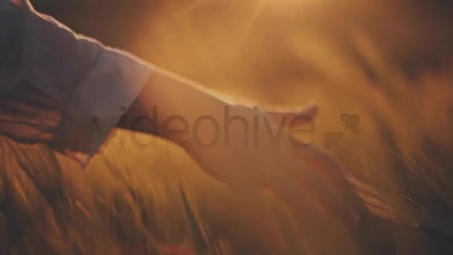 Hands on Ceral Field 8  Videohive 7730494 Stock Footage Image 5