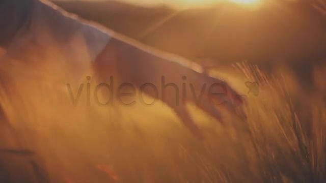 Hands on Ceral Field 8  Videohive 7730494 Stock Footage Image 6