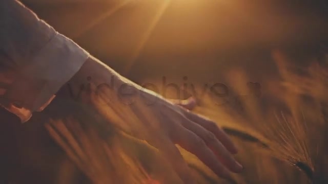 Hands on Ceral Field 8  Videohive 7730494 Stock Footage Image 7