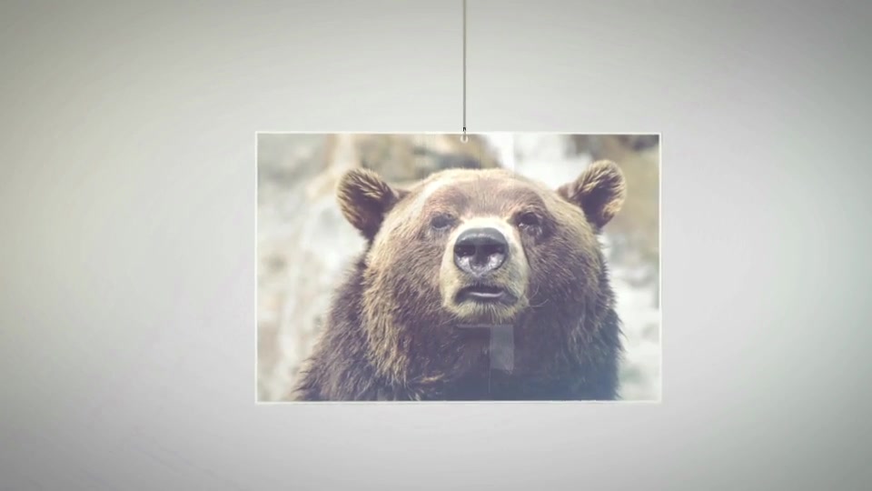 Hanging Pictures - Download Videohive 9317113