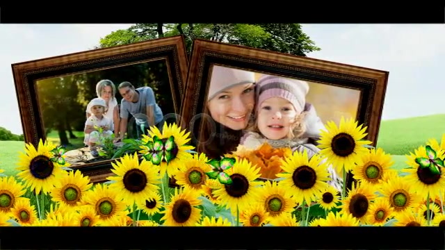 Happy Days - Download Videohive 3855884