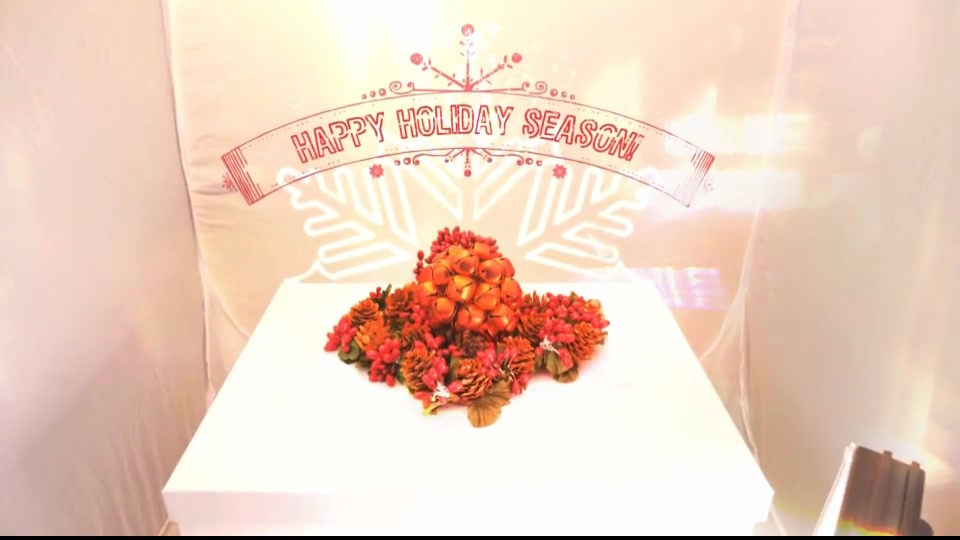 Happy Holidays Christmas Videography Studio Greetings! Videohive 24965047 Premiere Pro Image 7
