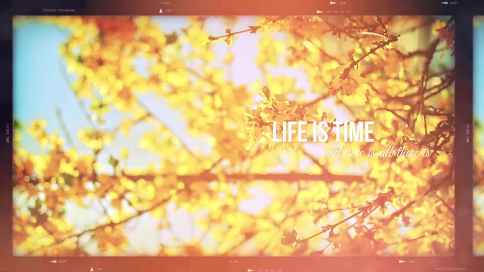 Happy Memories - Download Videohive 12111120