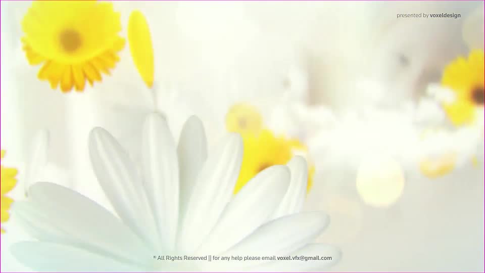 Happy Mothers Day Opener Videohive 26622904 After Effects Image 1