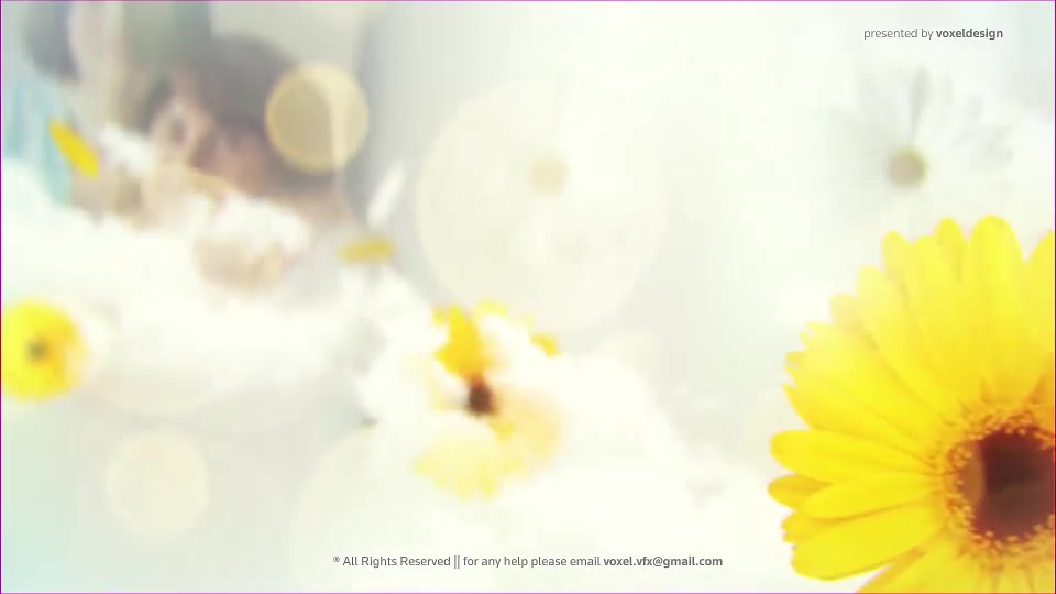 Happy Mothers Day Opener Videohive 26622904 After Effects Image 10