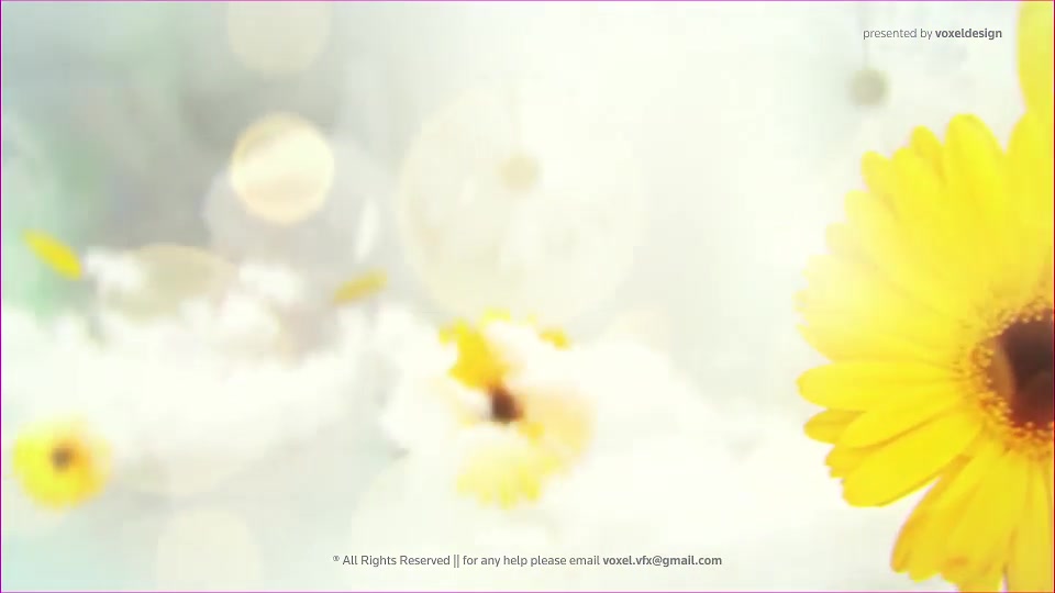 Happy Mothers Day Opener Videohive 26622904 After Effects Image 4