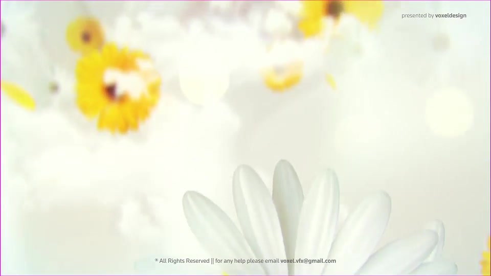 Happy Mothers Day Opener Videohive 26622904 After Effects Image 7