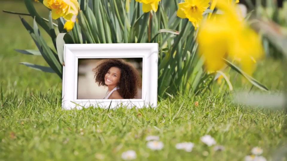 Happy Spring Time Gallery with Flowers and Ducks - Download Videohive 11648554