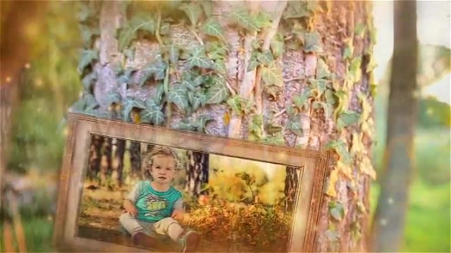 Happy Tree Family Gallery - Download Videohive 5281593