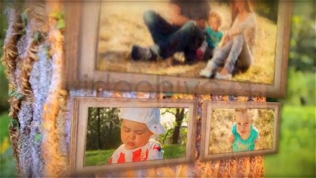 Happy Tree Family Gallery - Download Videohive 5281593