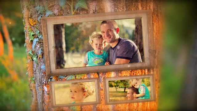 Happy Tree Family Gallery - Download Videohive 5281593