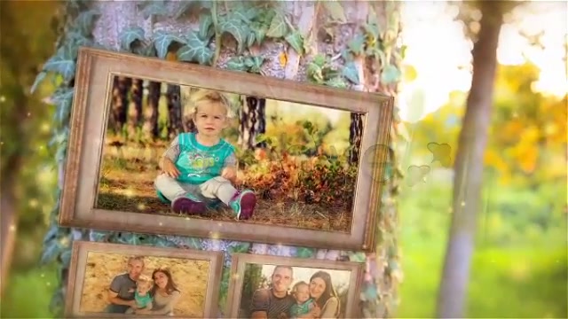 Happy Tree Family Gallery - Download Videohive 5281593