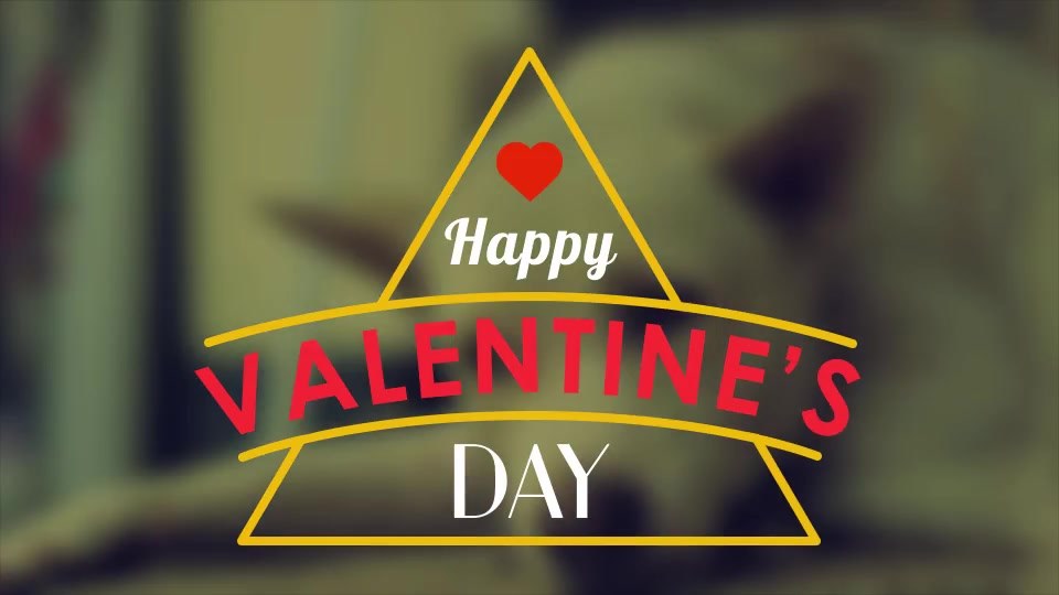 Happy Valentines Day Badges Pack - Download Videohive 10298813