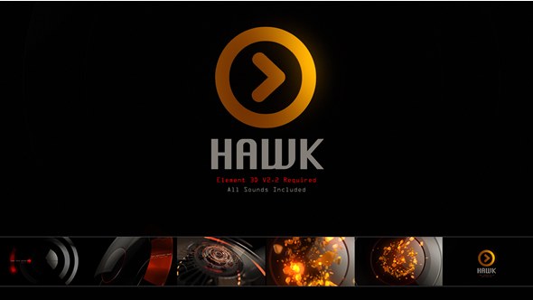 Hawk Logo - Download Videohive 19866869