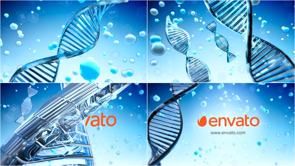 Health Logo Reveal - 24478511 Videohive Download