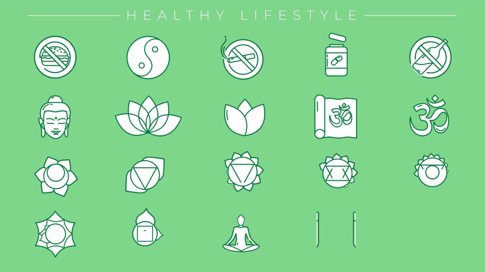 Healthy Lifestyle Icons Videohive 28449611 After Effects Image 11