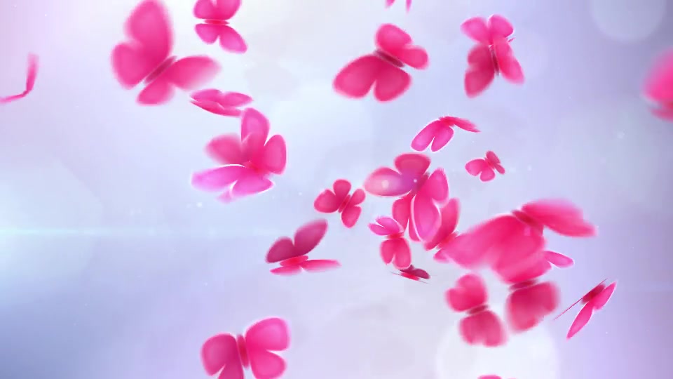 Heart of Butterflies - Download Videohive 10062869