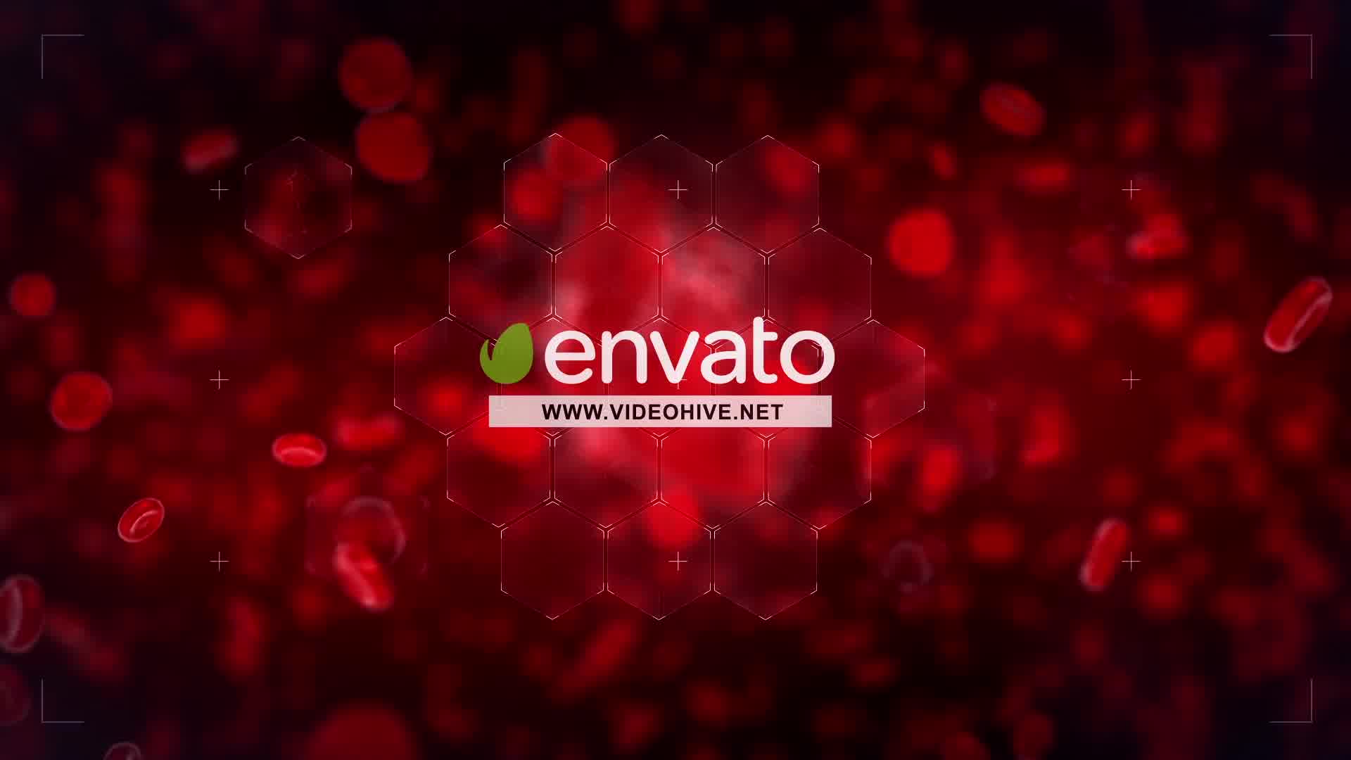 Heart Reveal Videohive 23356323 After Effects Image 10