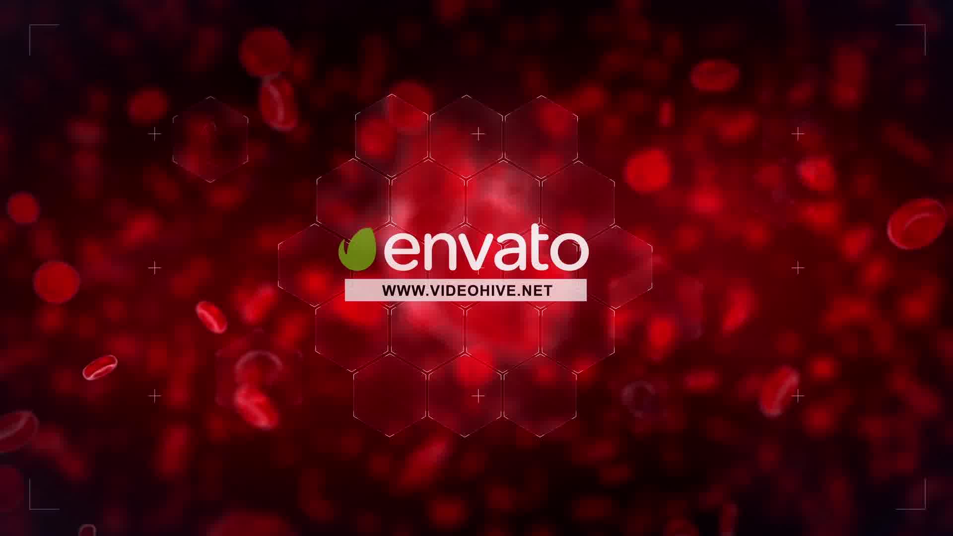 Heart Reveal Videohive 23356323 After Effects Image 11