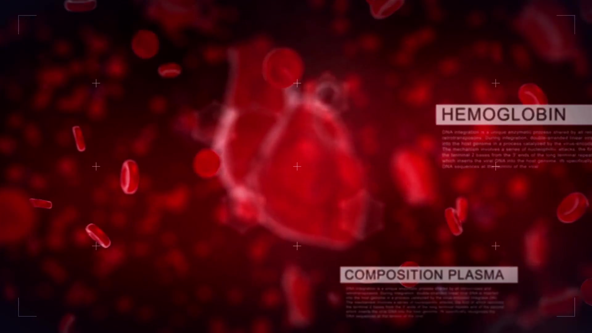 Heart Reveal Videohive 23356323 After Effects Image 3