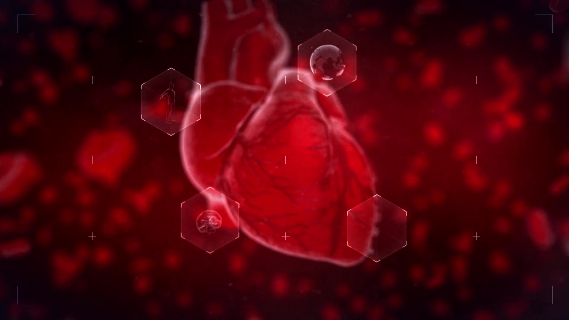 Heart Reveal Videohive 23356323 After Effects Image 4