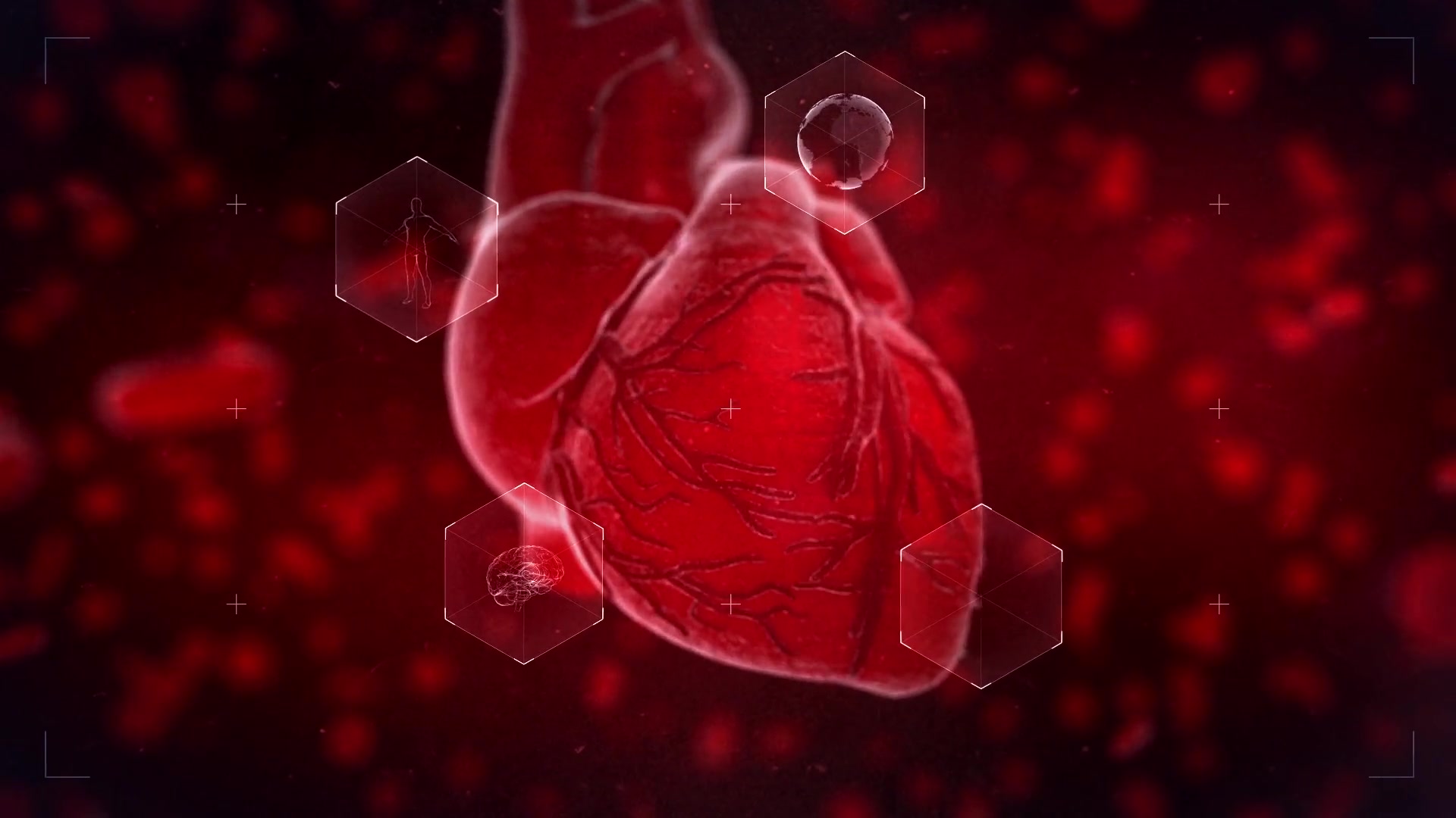 Heart Reveal Videohive 23356323 After Effects Image 5