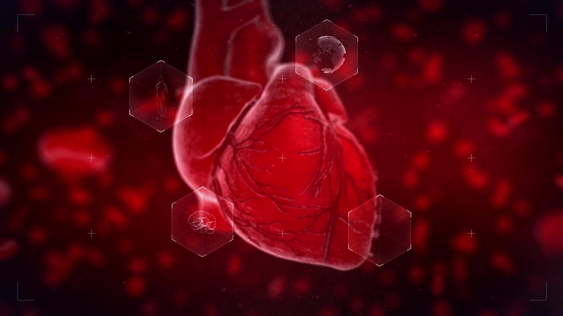 Heart Reveal Videohive 23356323 After Effects Image 6