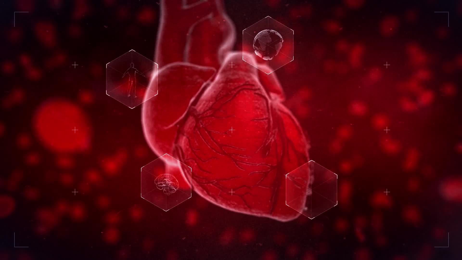 Heart Reveal Videohive 23356323 After Effects Image 7