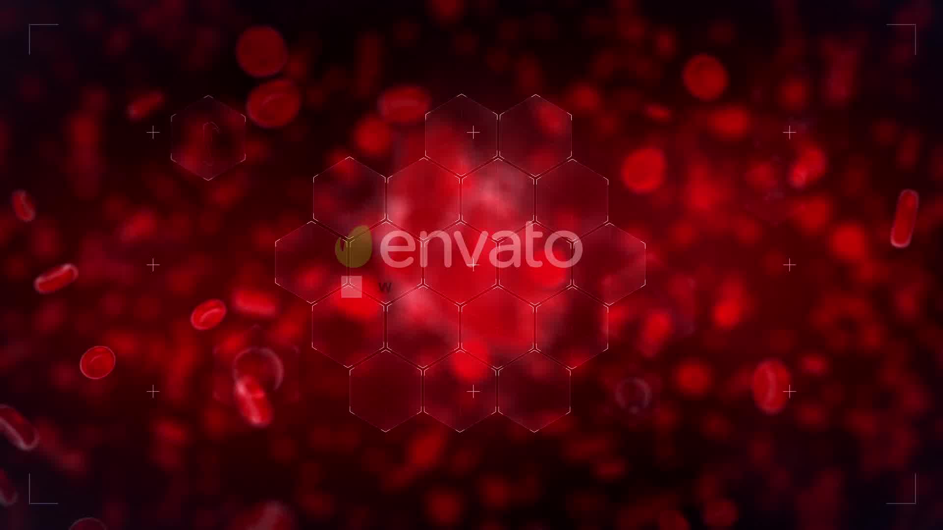 Heart Reveal Videohive 23356323 After Effects Image 9