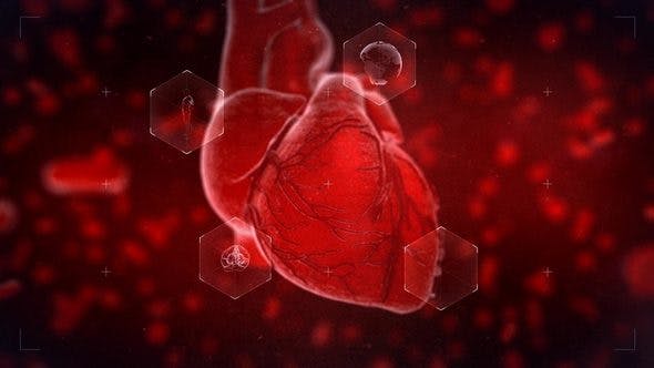 Heart Reveal - 23356323 Videohive Download