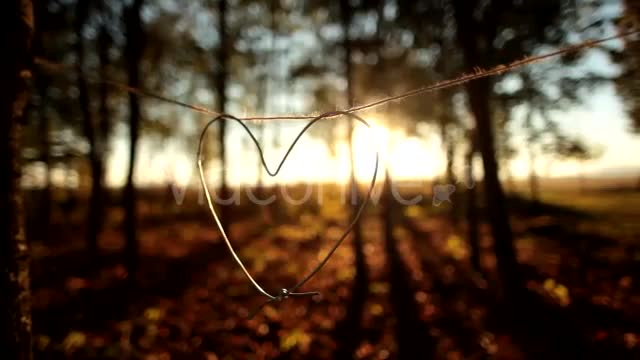 Heart  Videohive 9900270 Stock Footage Image 1