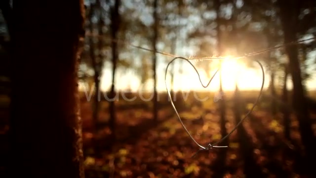 Heart  Videohive 9900270 Stock Footage Image 11