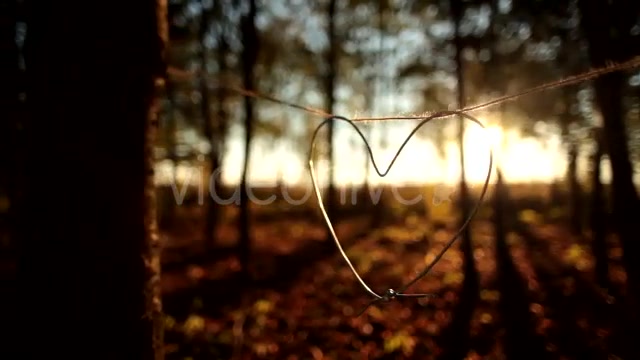 Heart  Videohive 9900270 Stock Footage Image 12