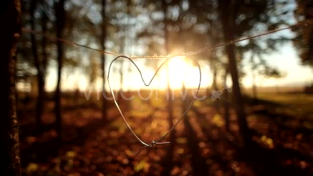 Heart  Videohive 9900270 Stock Footage Image 2
