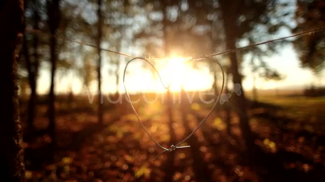 Heart  Videohive 9900270 Stock Footage Image 3