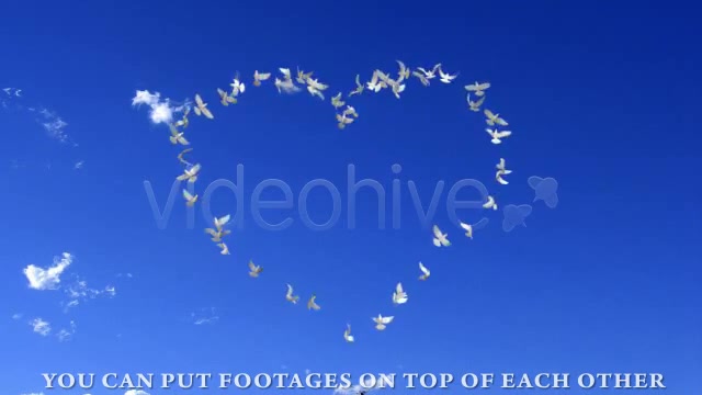 Heart with doves - Download Videohive 160092