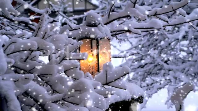 Heavy Snowfall Full HD Loop Videohive 73731 Motion Graphics Image 10