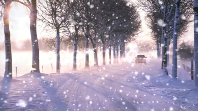 Heavy Snowfall Full HD Loop Videohive 73731 Motion Graphics Image 9