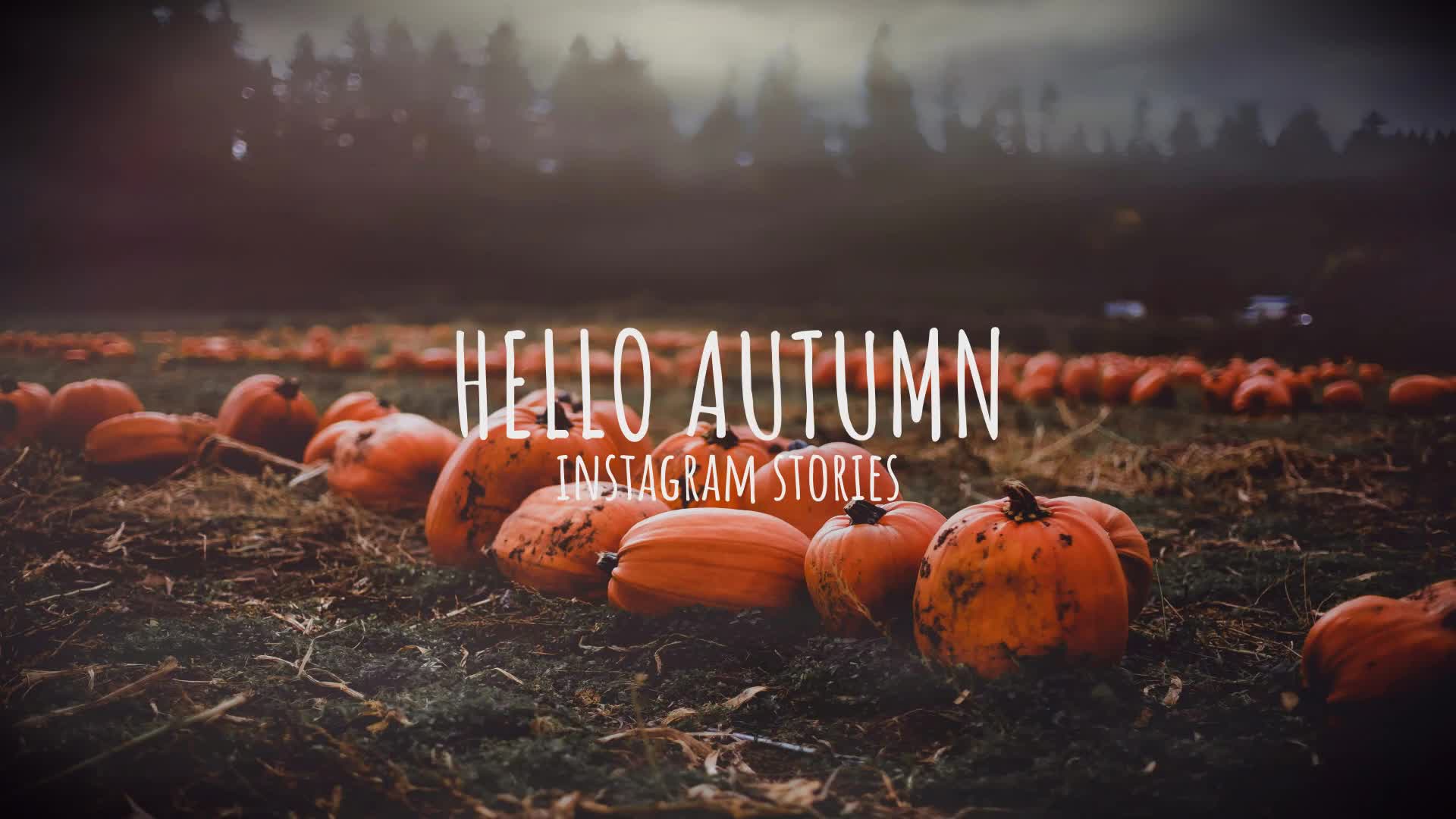 Hello Autumn Instagram Stories Videohive 33472065 DaVinci Resolve Image 1