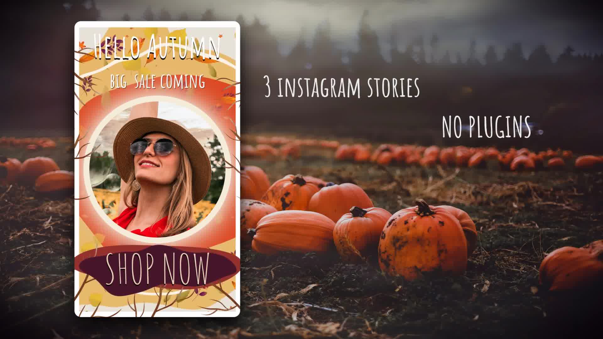 Hello Autumn Instagram Stories Videohive 33472065 DaVinci Resolve Image 10