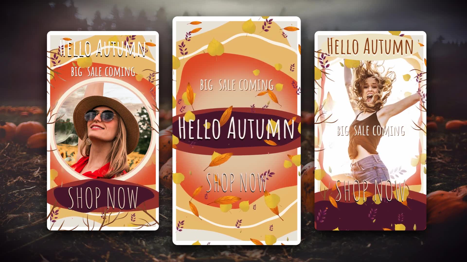 Hello Autumn Instagram Stories Videohive 33472065 DaVinci Resolve Image 2