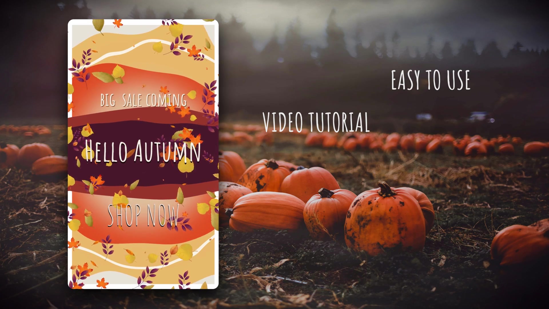 Hello Autumn Instagram Stories Videohive 33472065 DaVinci Resolve Image 4