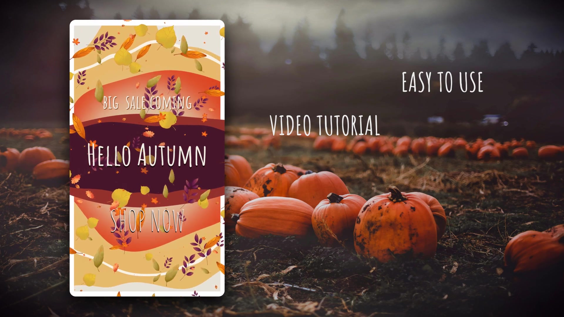 Hello Autumn Instagram Stories Videohive 33472065 DaVinci Resolve Image 5