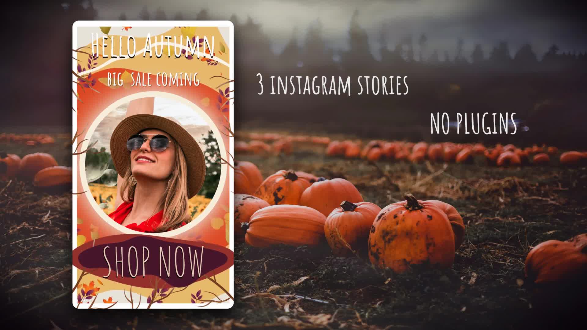 Hello Autumn Instagram Stories Videohive 33472065 DaVinci Resolve Image 9