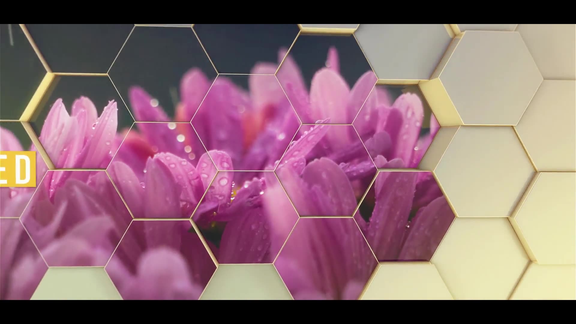 Hexagon Slideshow Videohive 23653277 After Effects Image 11