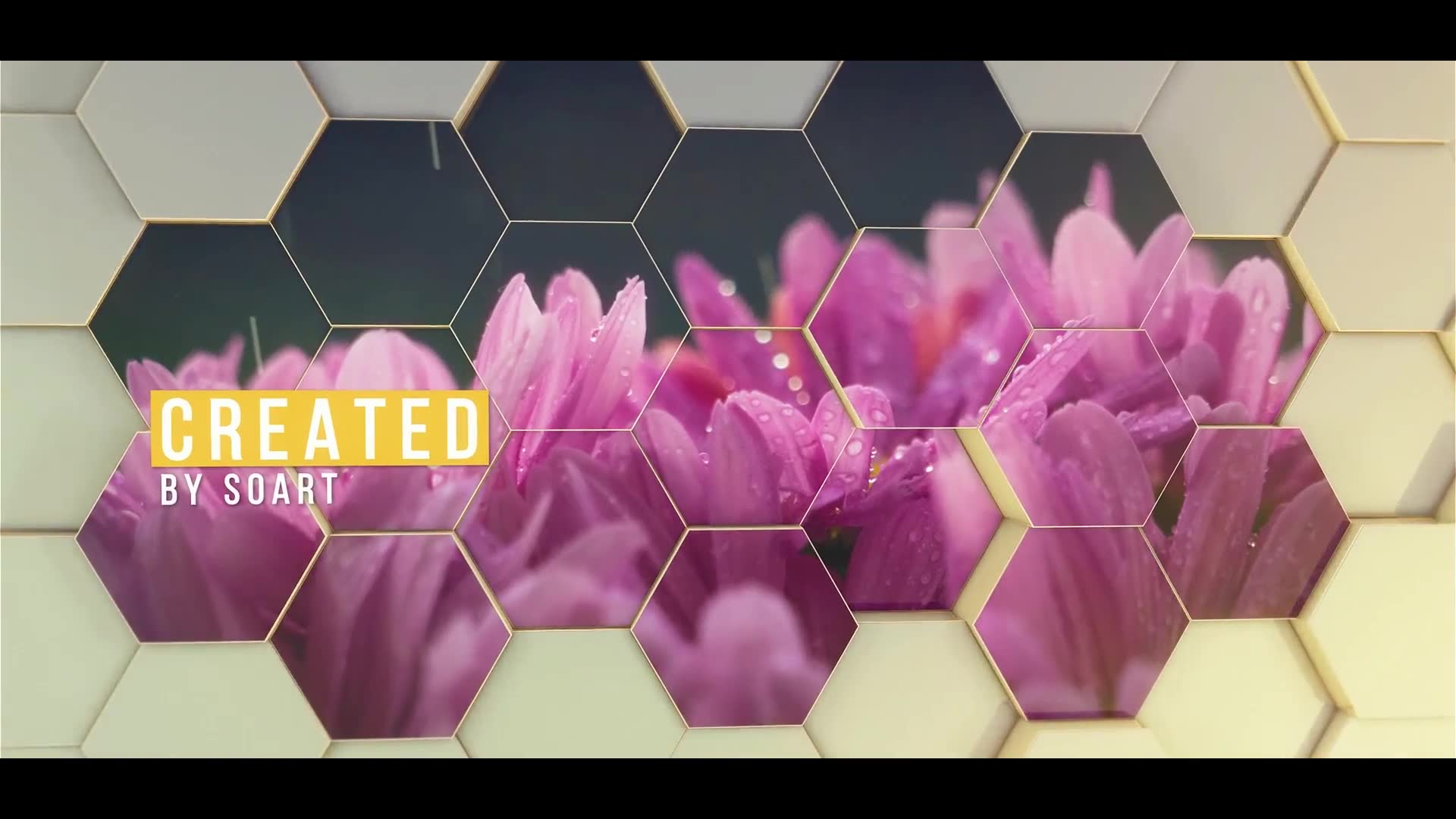 Hexagon Slideshow Videohive 23653277 After Effects Image 12