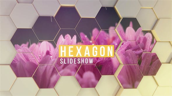 Hexagon Slideshow - Videohive 23653277 Download