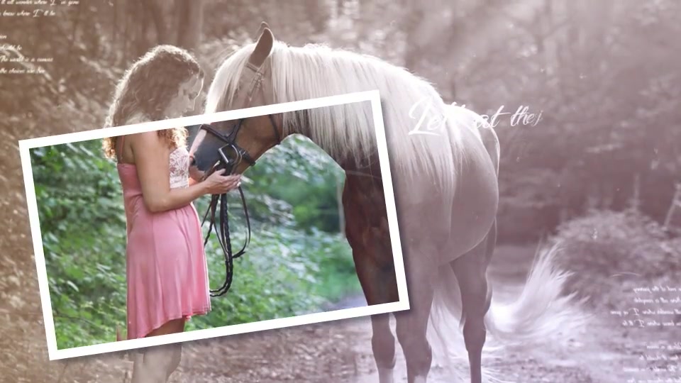 Highlight Family Memories Videohive 22395468 After Effects Image 3
